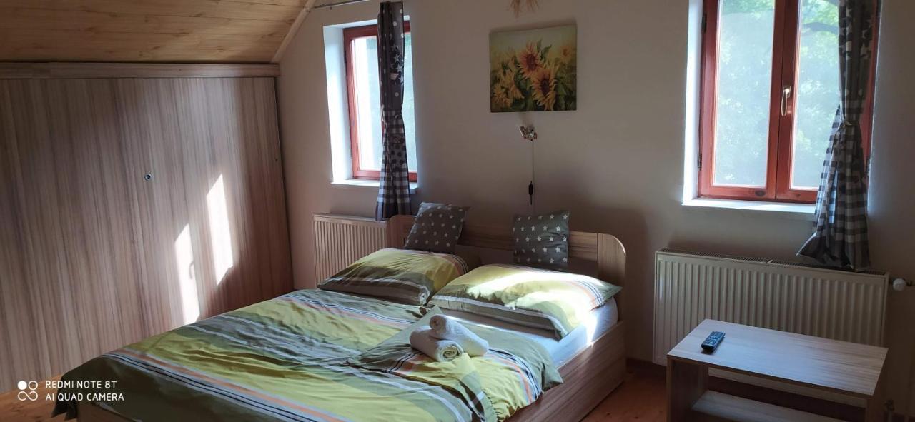 Apartmany Natalie Dvory nad Luznici Exteriör bild