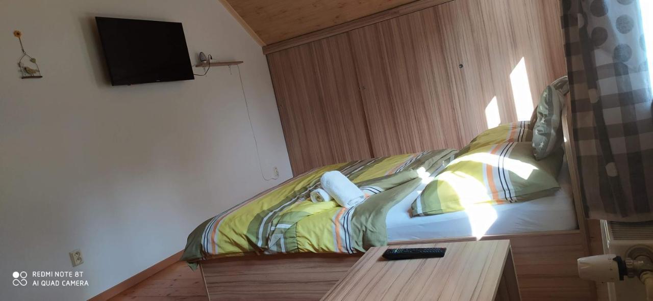 Apartmany Natalie Dvory nad Luznici Exteriör bild